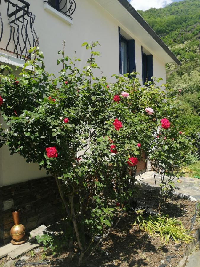 Les Rosiers Bed and Breakfast Bagnères-de-Luchon Exterior foto